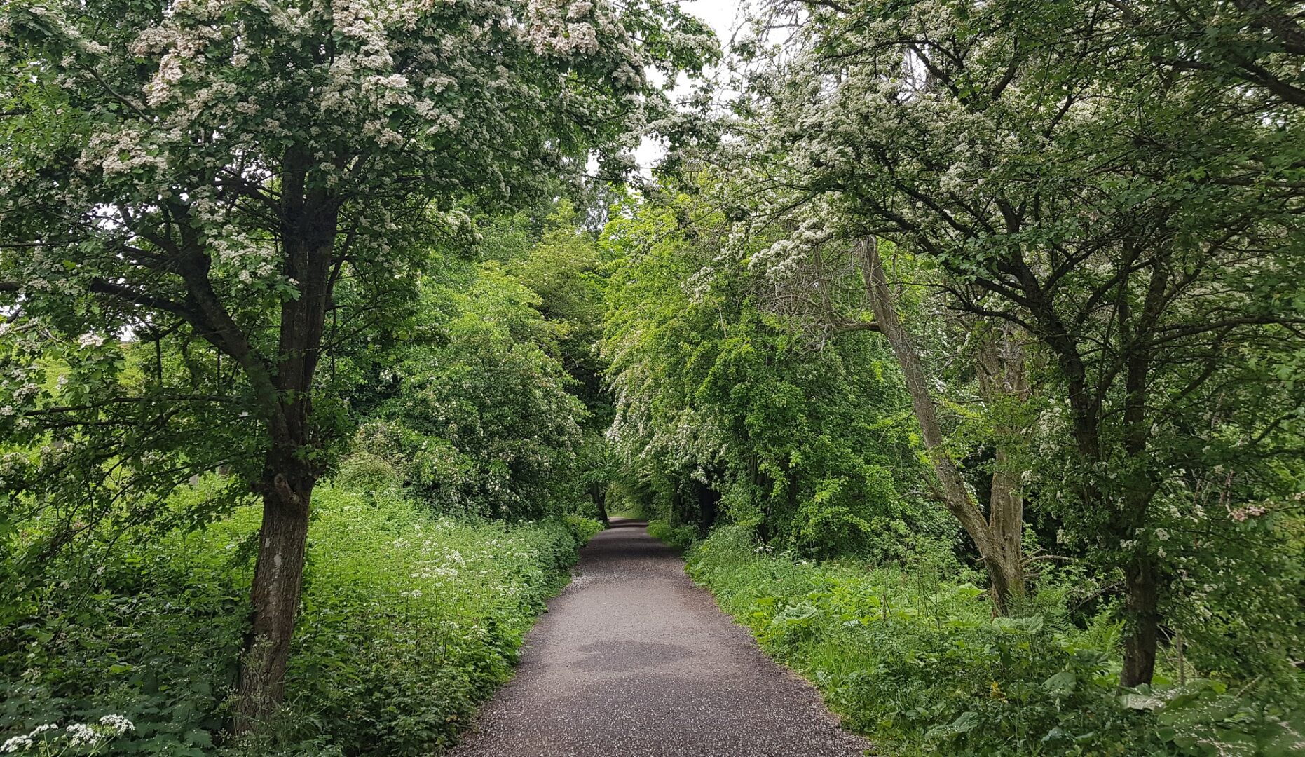 Water of Leith Walkway