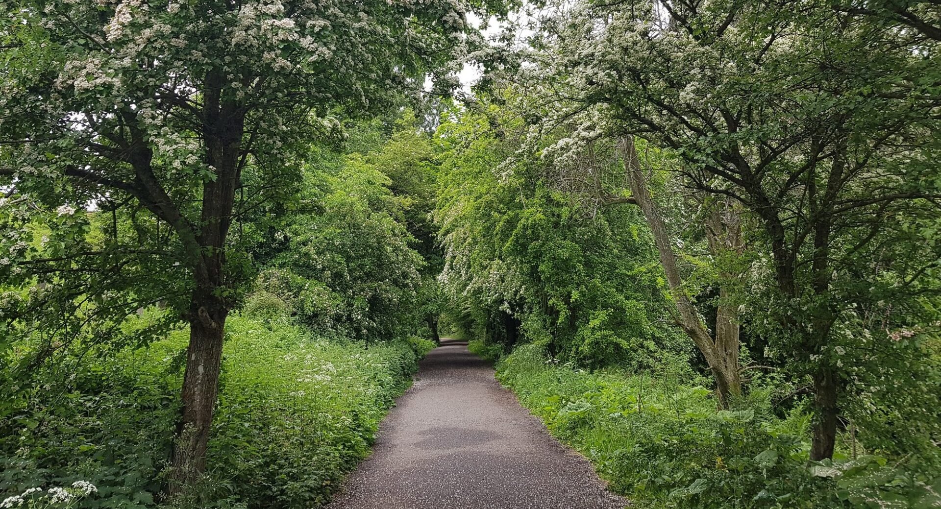 Water of Leith Walkway