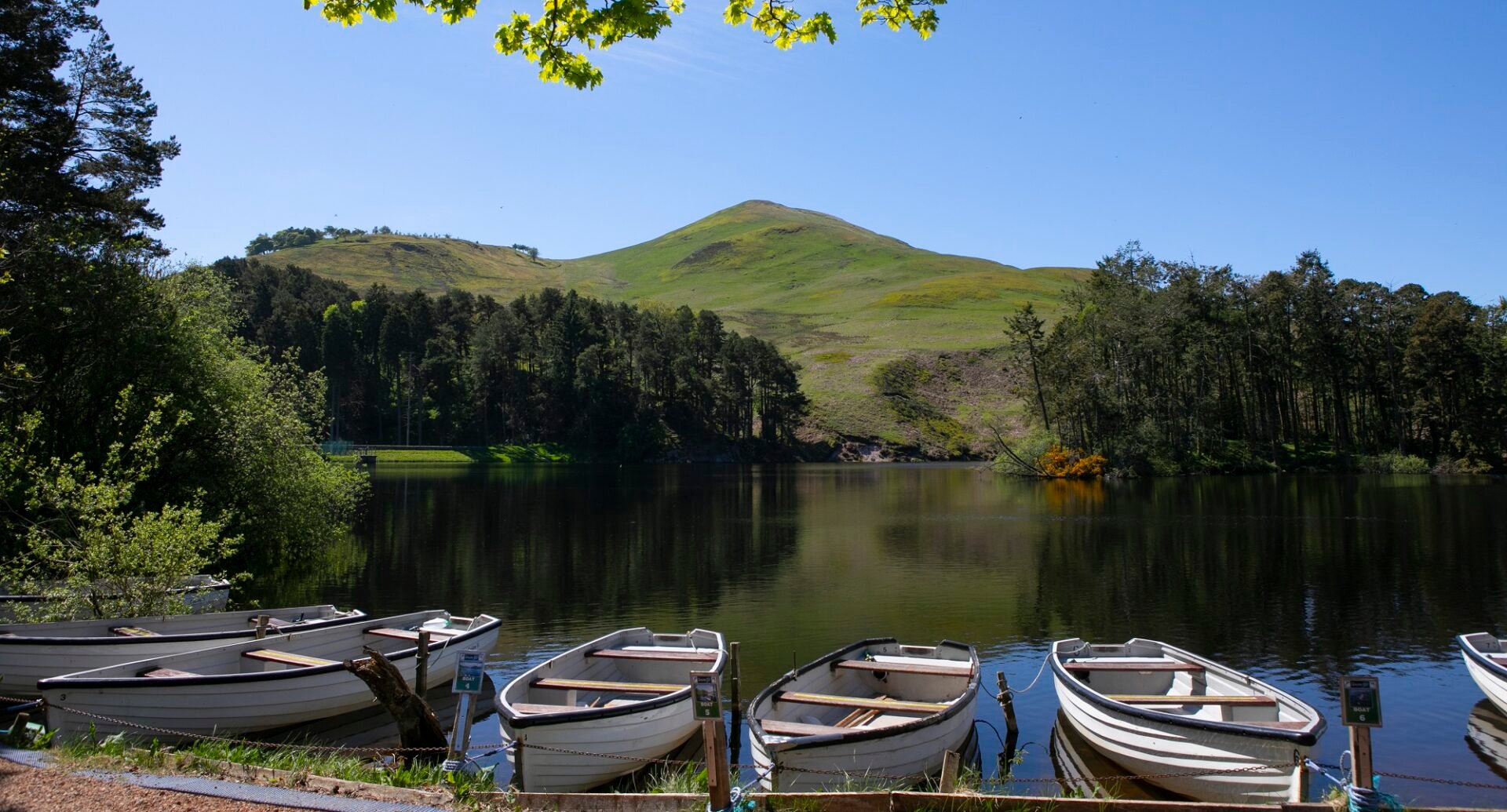 Glencourse Boats on Waterway