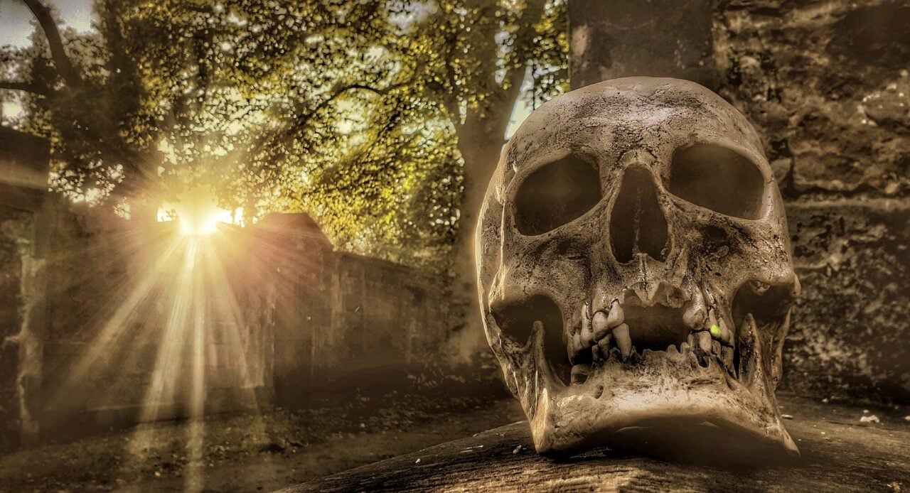 Skull and Light