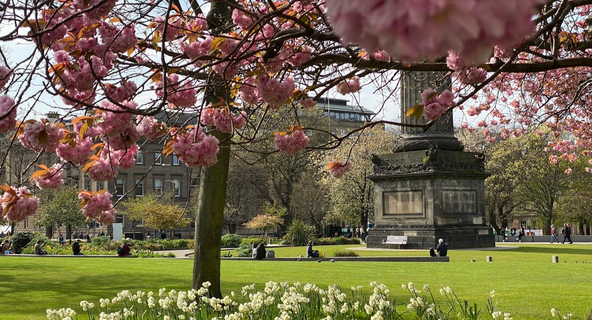 Spring time in St Andrew Square
