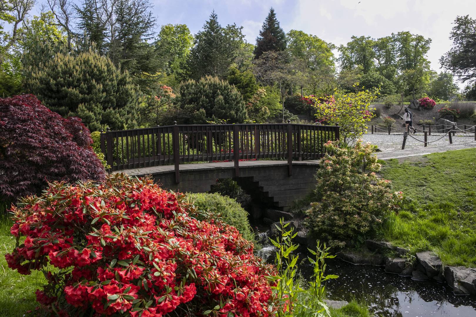 Bridge over lake surrounded by flowers, trees and grass.