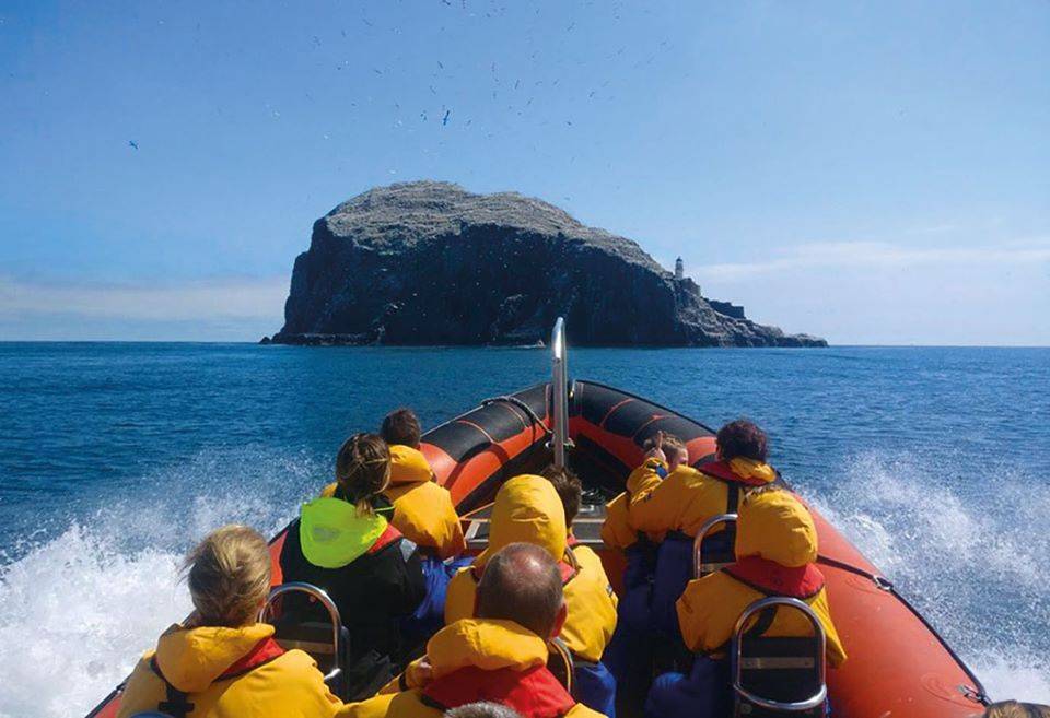 Guided Wildlife Boat Trip towards the Bass Rock,© Seafari Boat Trips