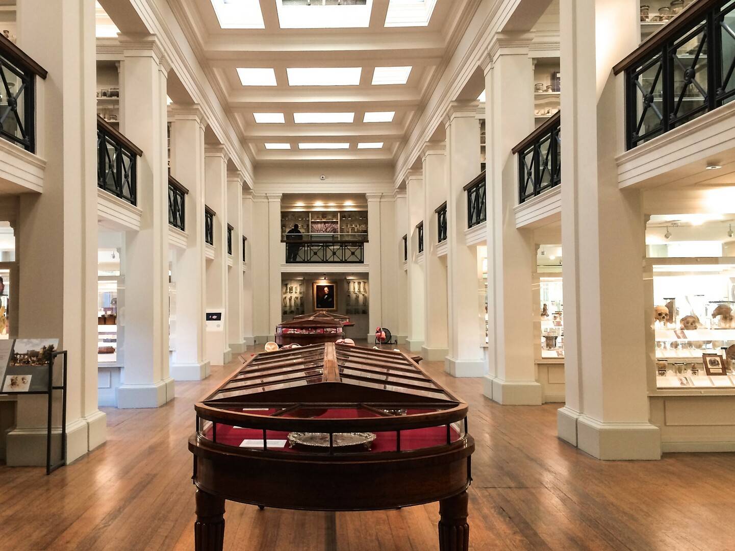 Lower level of the Wohl Pathology Museum