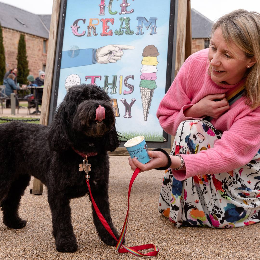 Dog enjoying dog-friendly ice cream at Dalkeith Country Park, Dalkeith Country Park