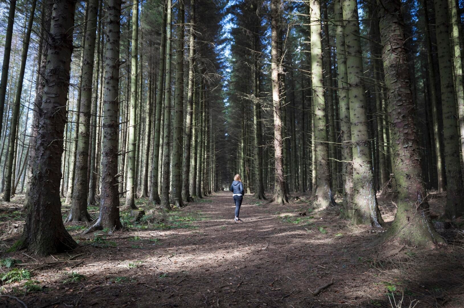 Beecraigs Country Park