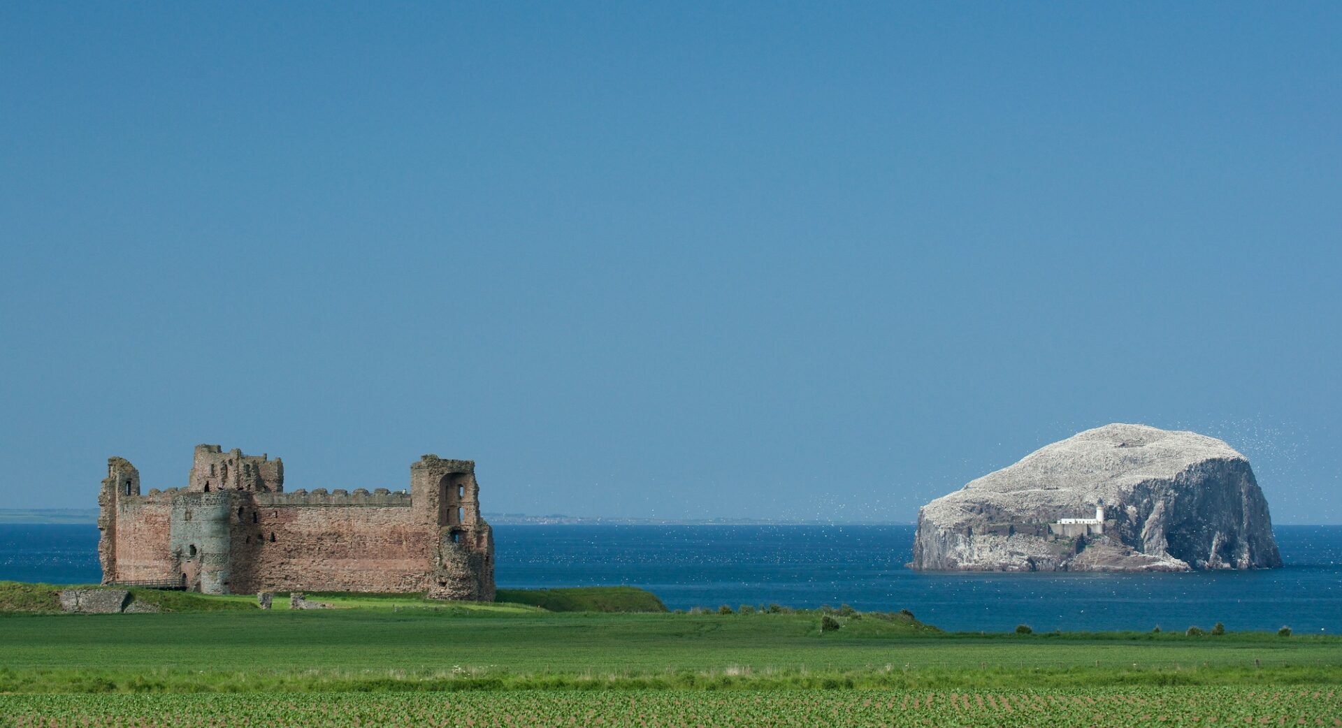 Tantallon-Castle-and-Bass-Rock-view-from-fields