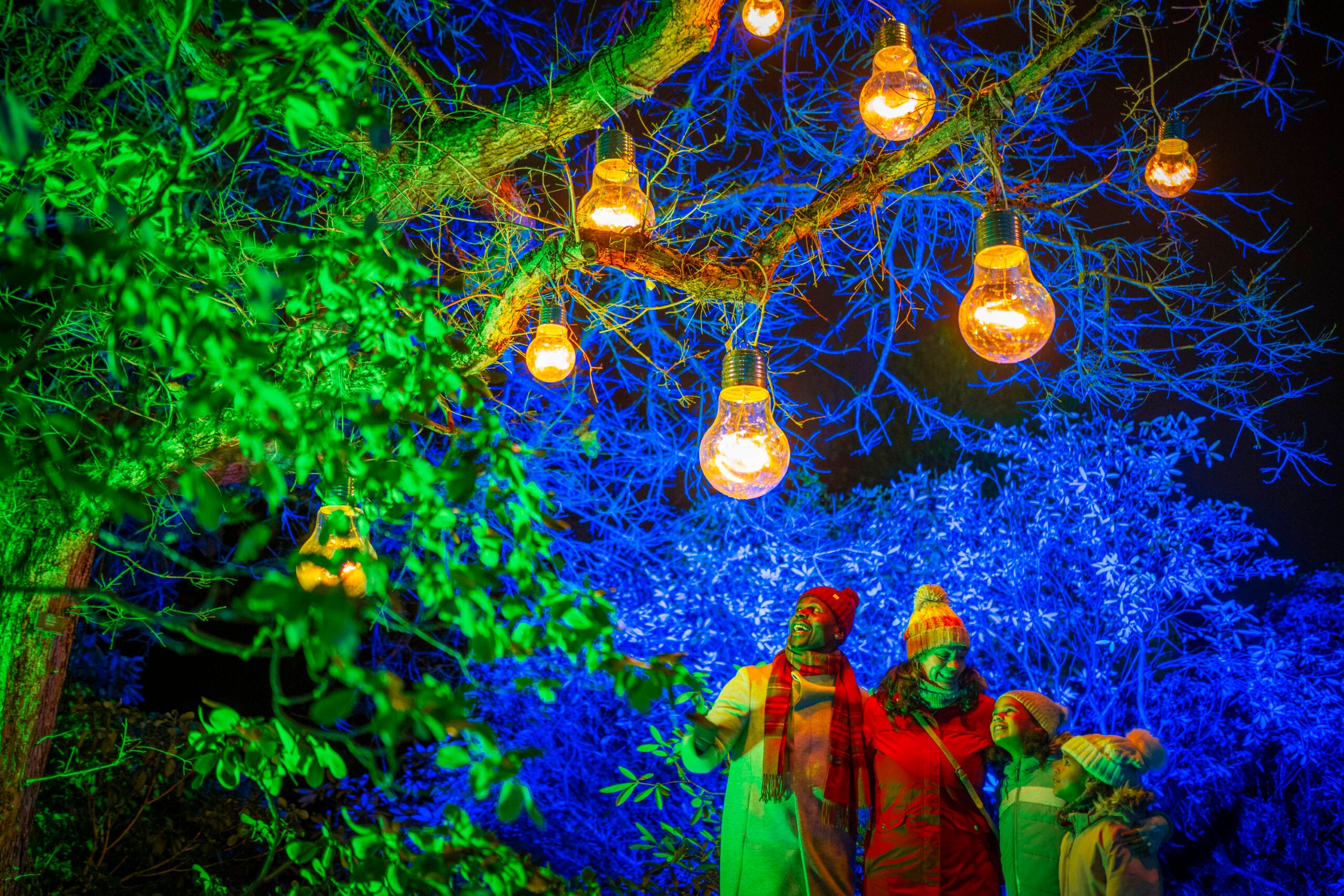 Christmas at the Botanics Forever Edinburgh