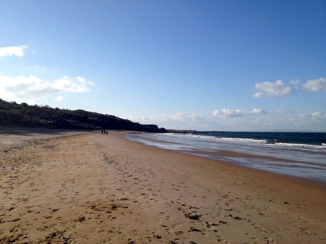 Gullane Bents