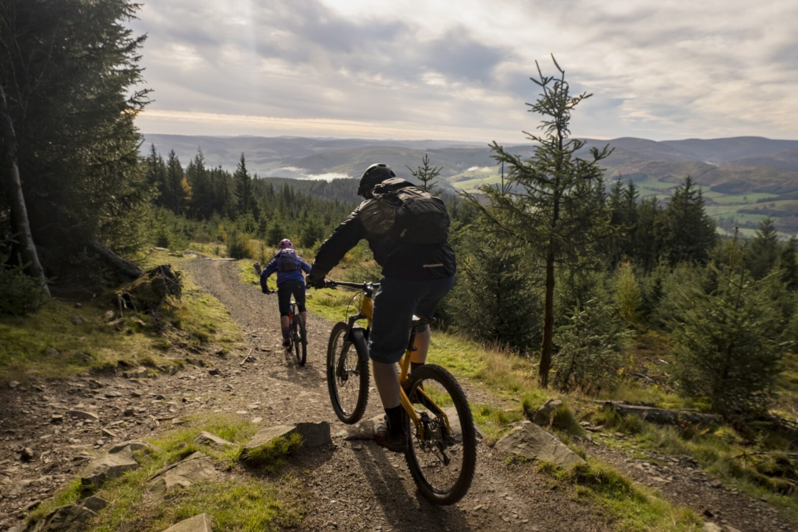 Glentress Forest