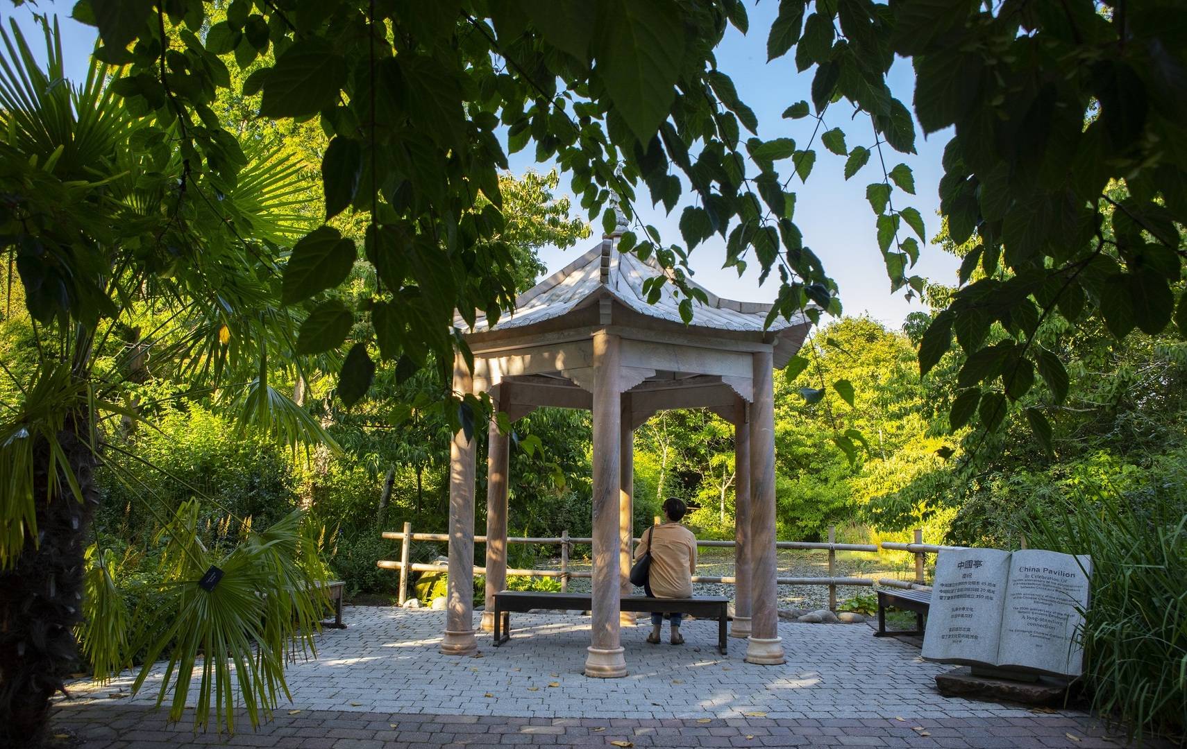 Botanic Garden view of Chinese garden Pagoda with person sitting on bench