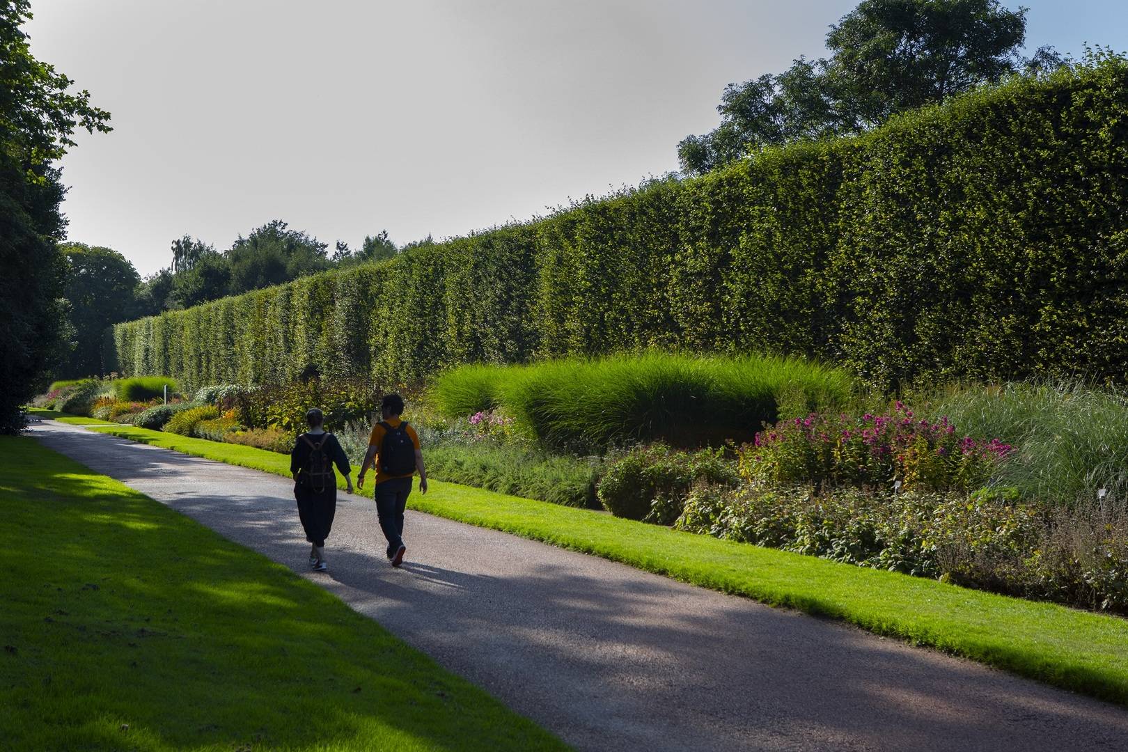 Botanic Gardens- couple walking along hedgeline