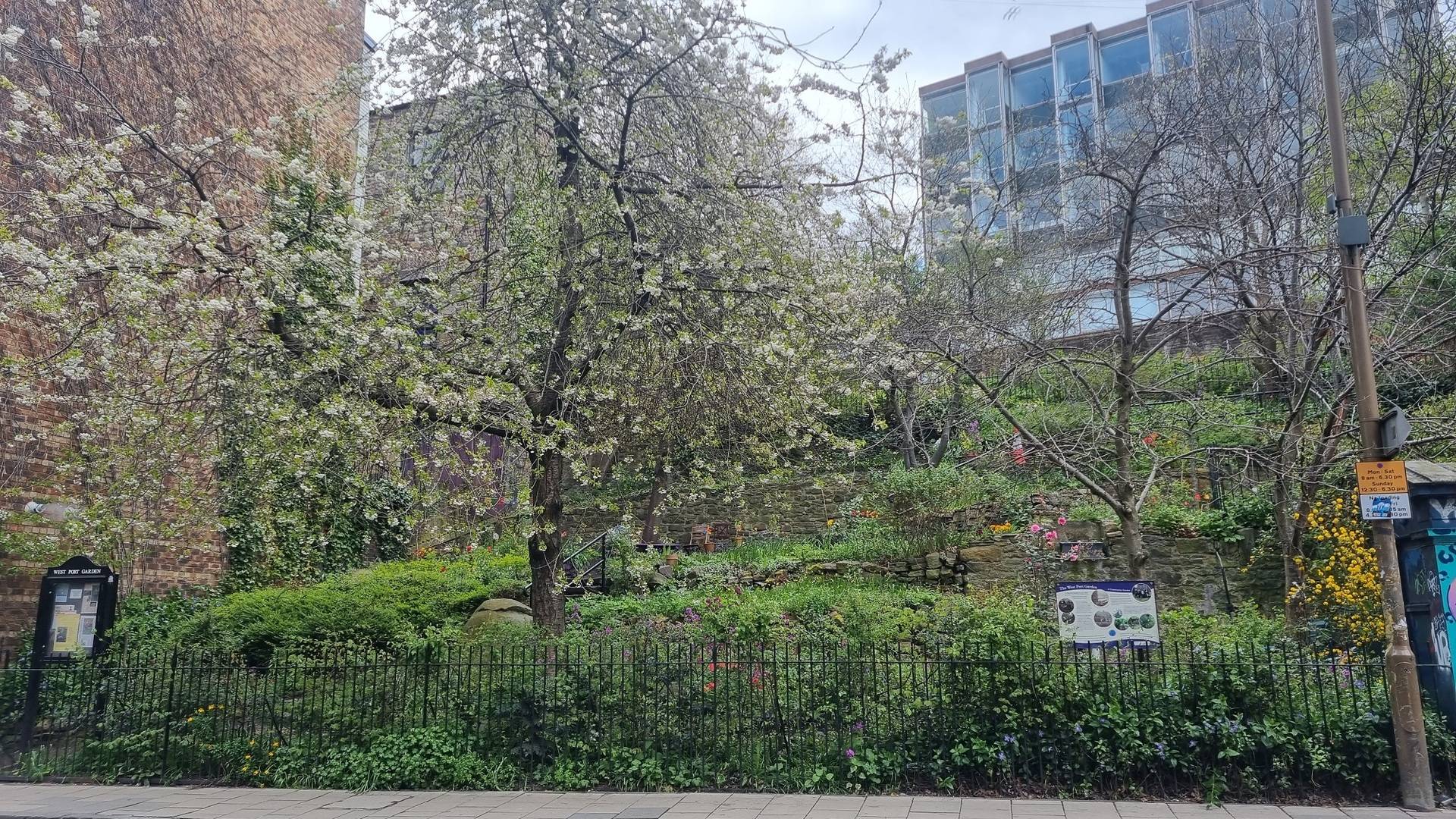 West Port Gardens trees and greenery