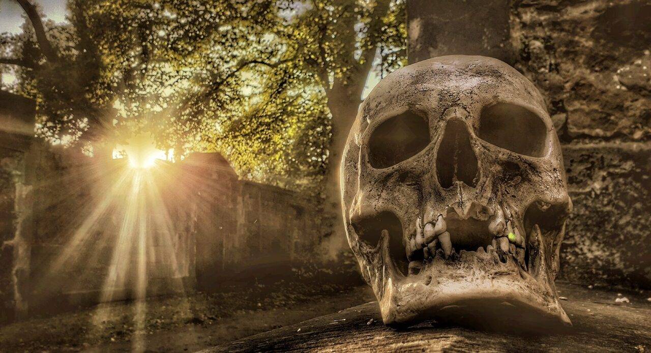 Skull in graveyard, City of the Dead Tours
