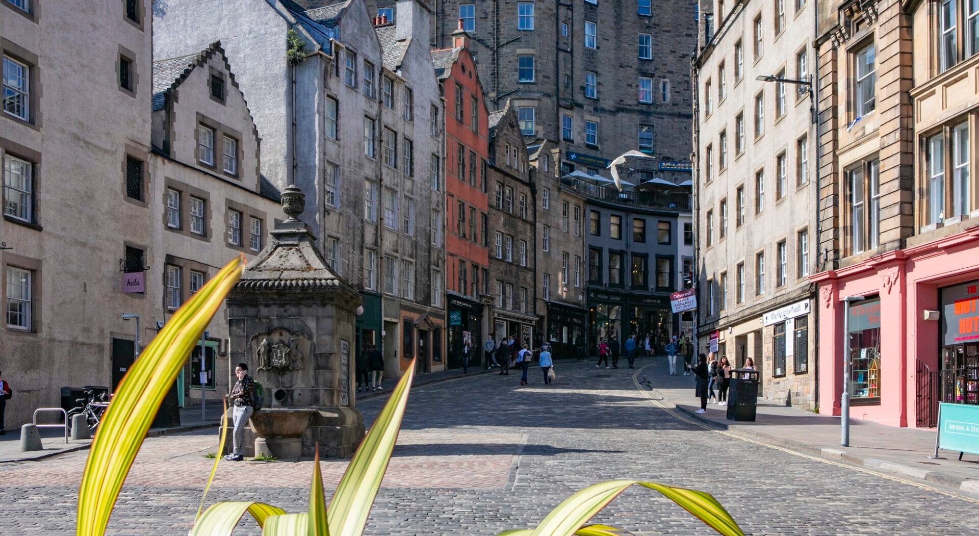 Victoria Street view from the Grassmarket