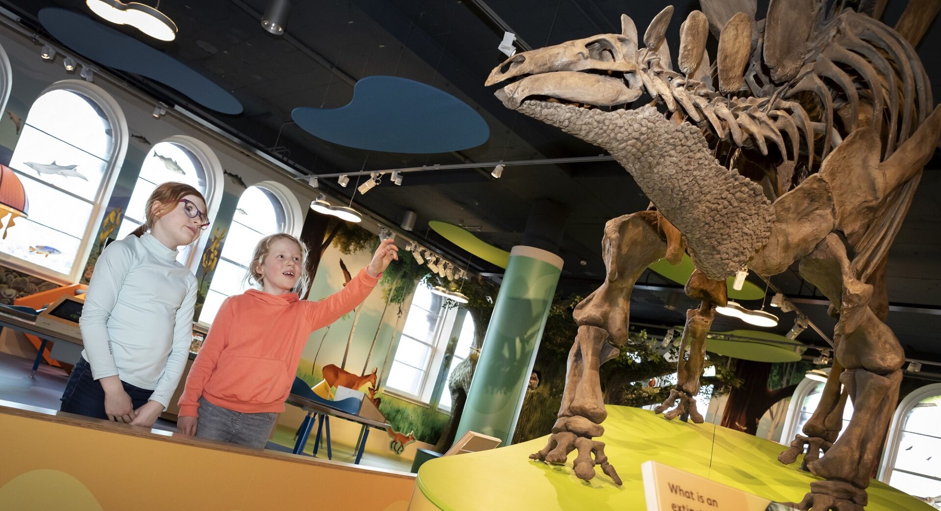 Adventure-Planet-at-the-National-Museum-of-Scotland