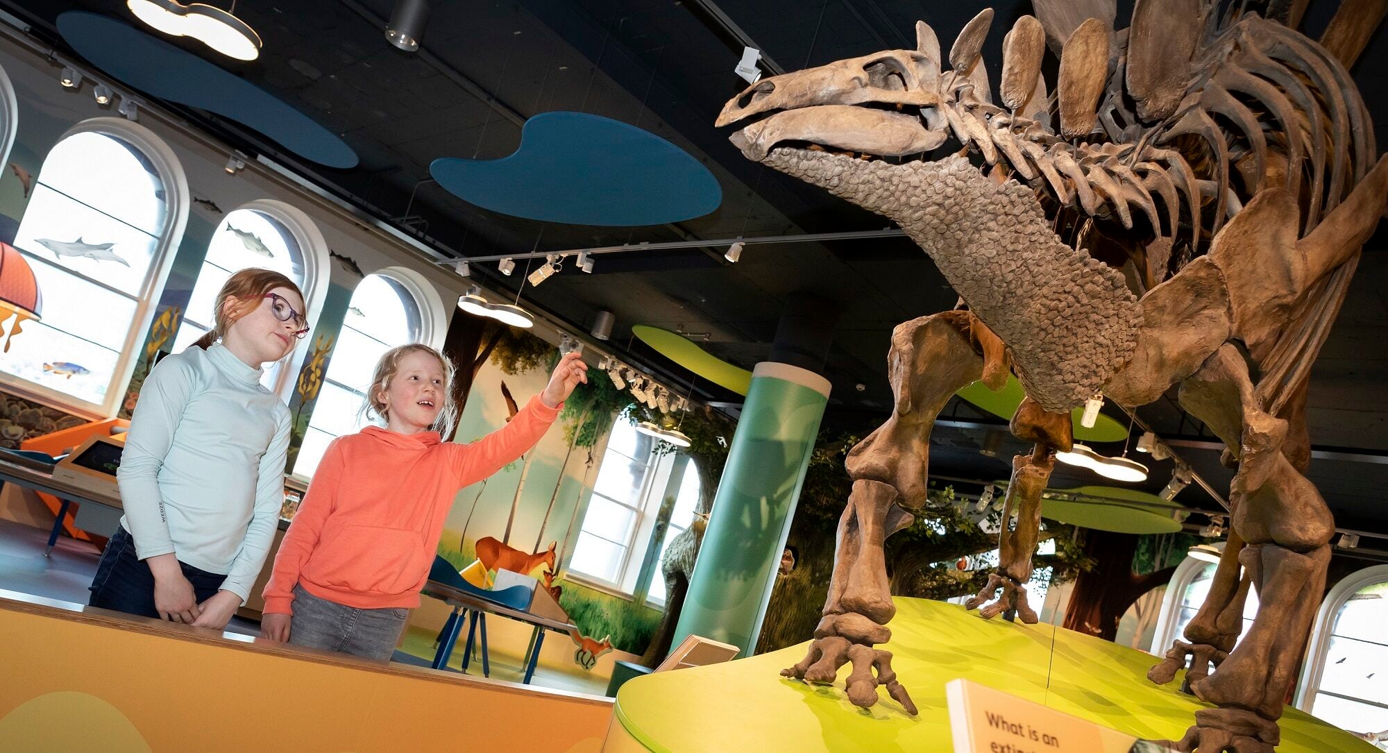 Curiosity Club at National Museum of Scotland