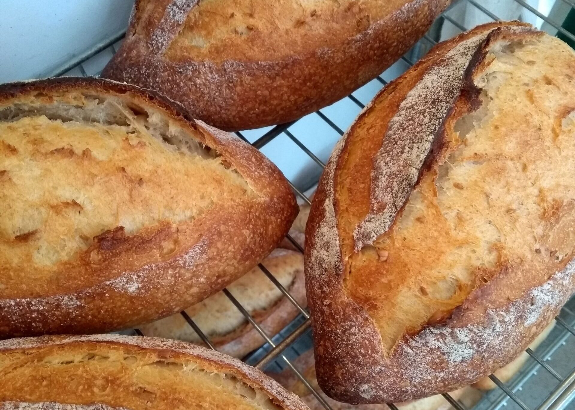 Bakeries and delicatessens - Forever Edinburgh