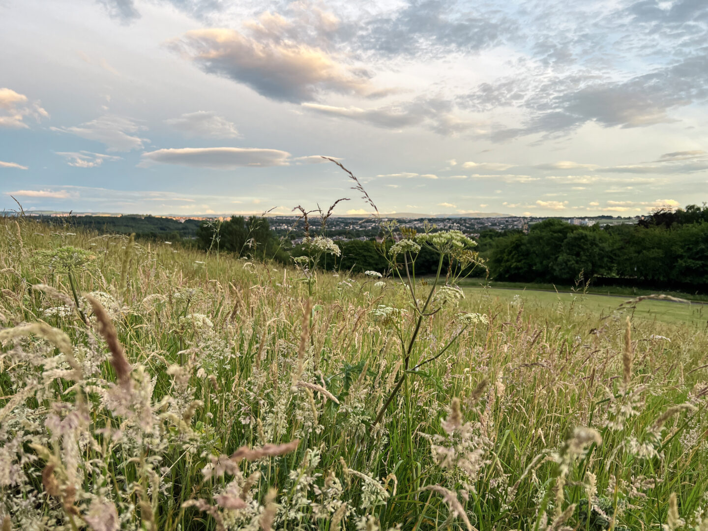 View of local scenic nature reserve.