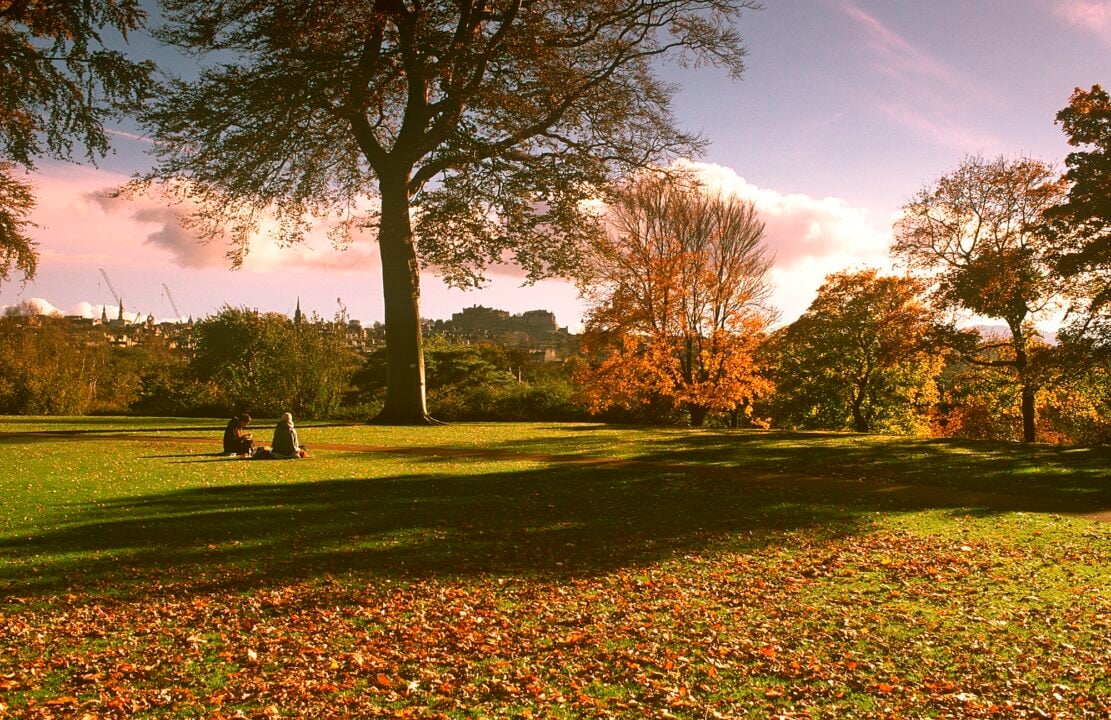 People sitting having a picnic at The Royal Botanic Gardens in Autumn