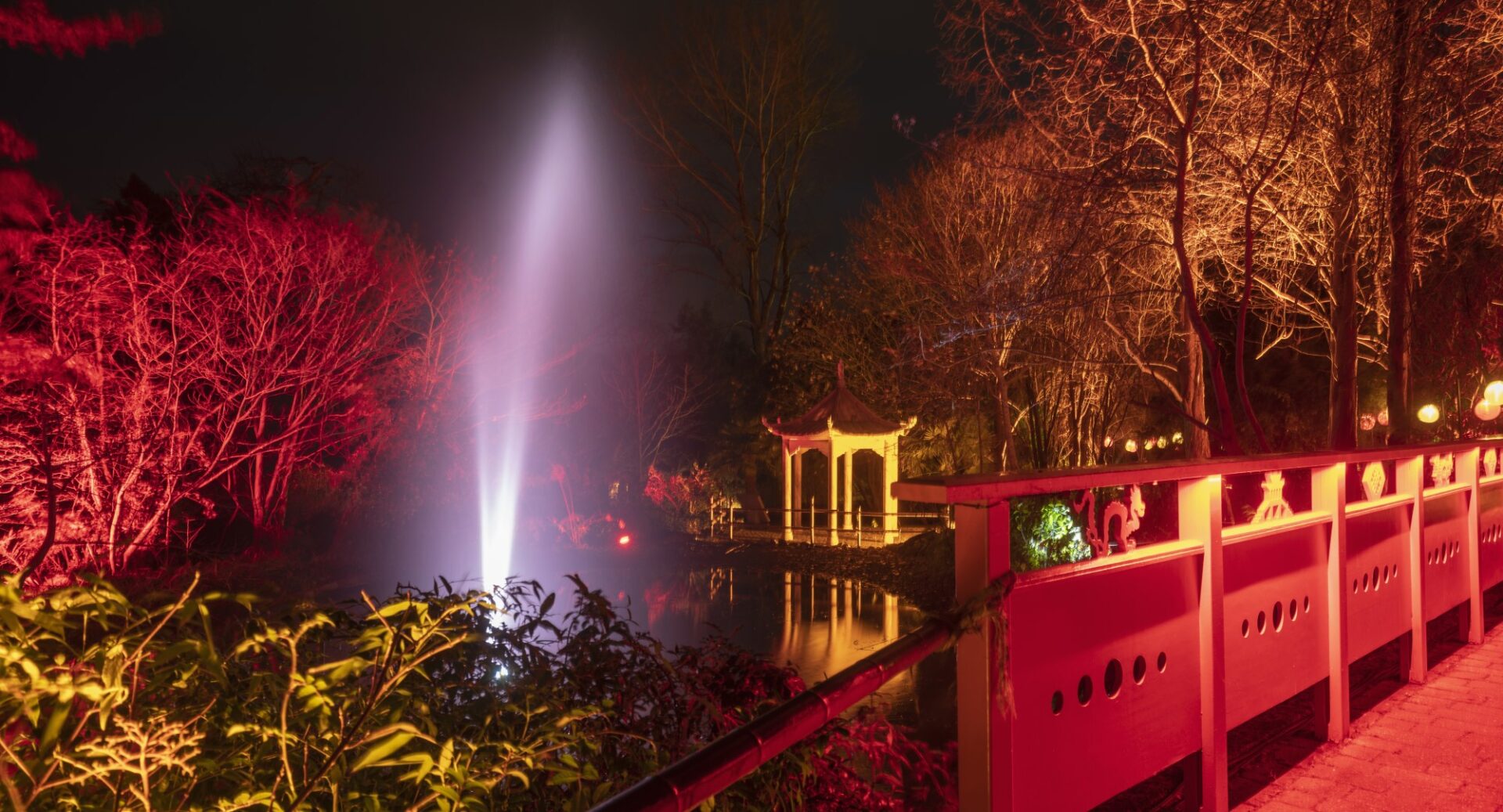 Christmas at The Botanics. A bridge with water coming out of water fountain. Lit up in pink and red.