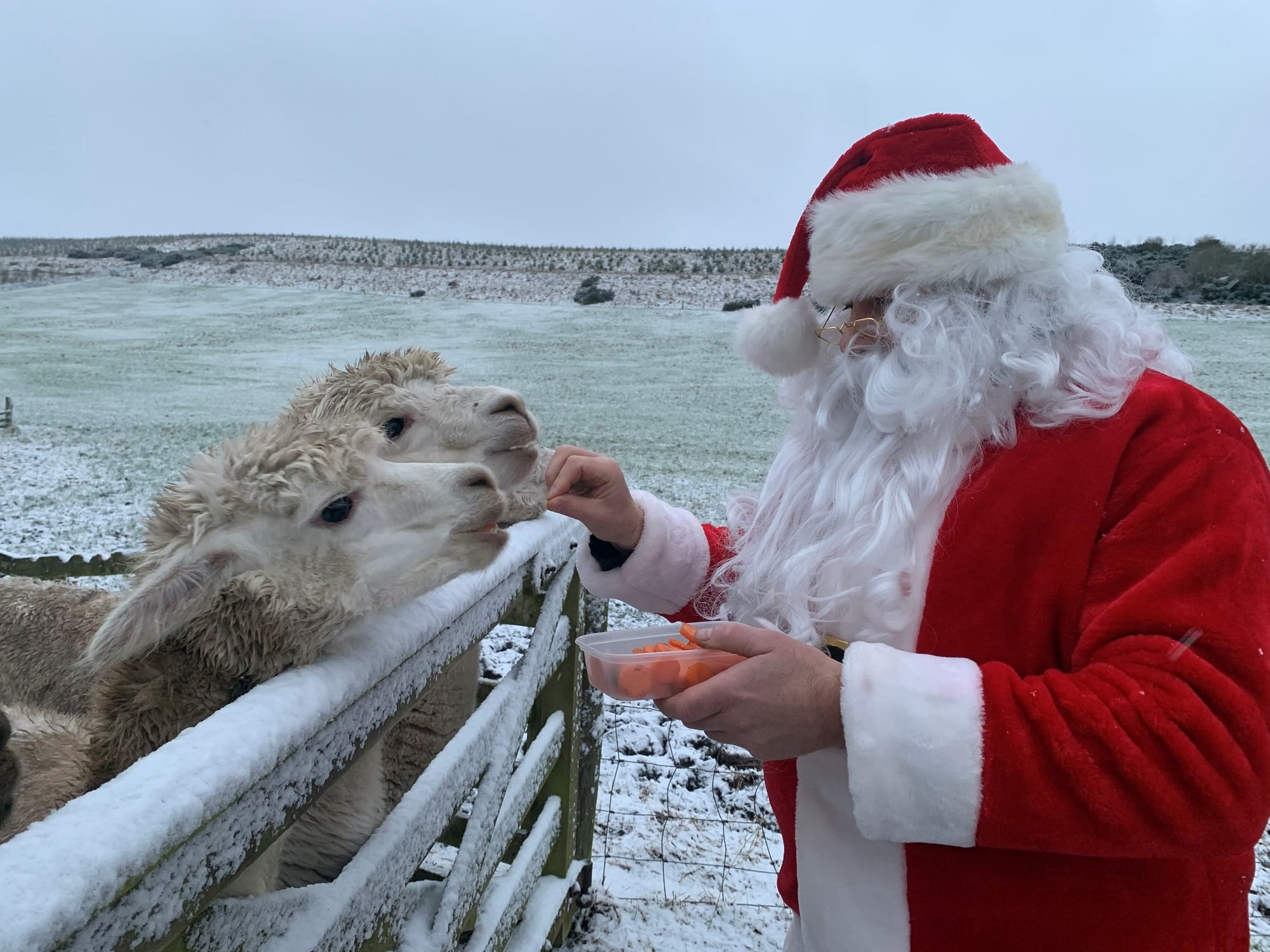 Santa’s Grottos in Edinburgh Forever Edinburgh