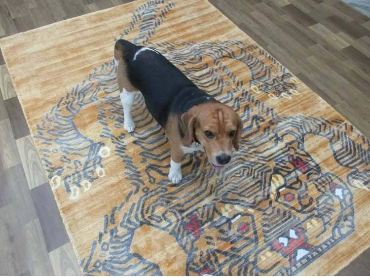 Dog standing on tiger-printed rug