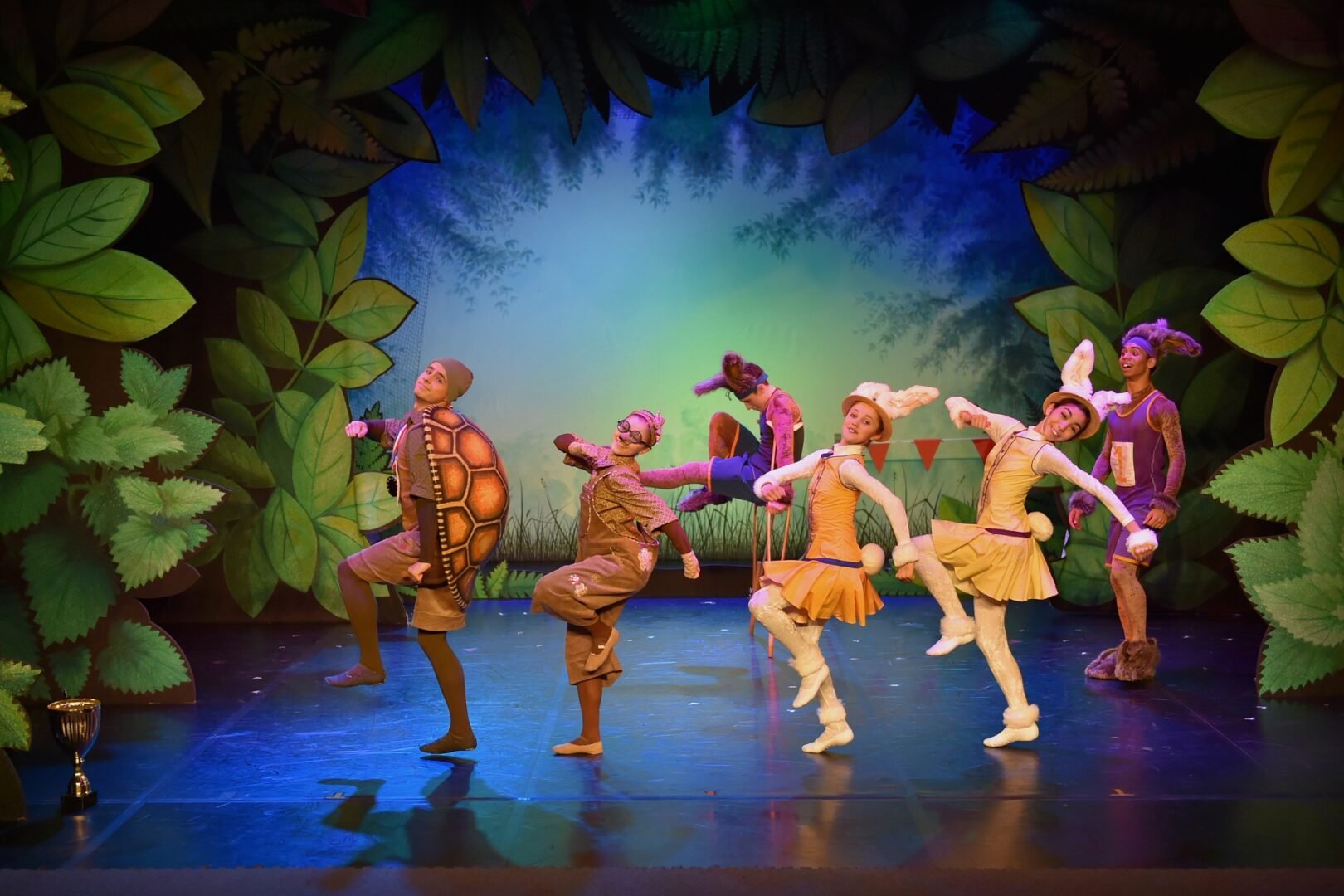 Northern Ballet Tortoise and the Hare