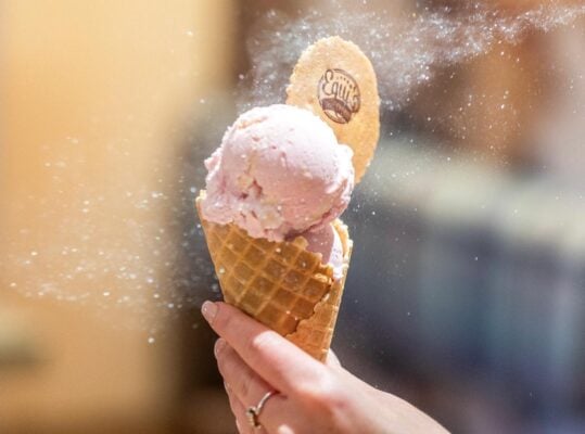 Swiftie Swirl Ice Cream at Gladstones Land