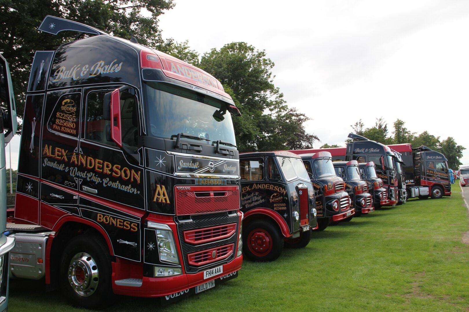 a number of Alex Anderson Trucks at Truckfest