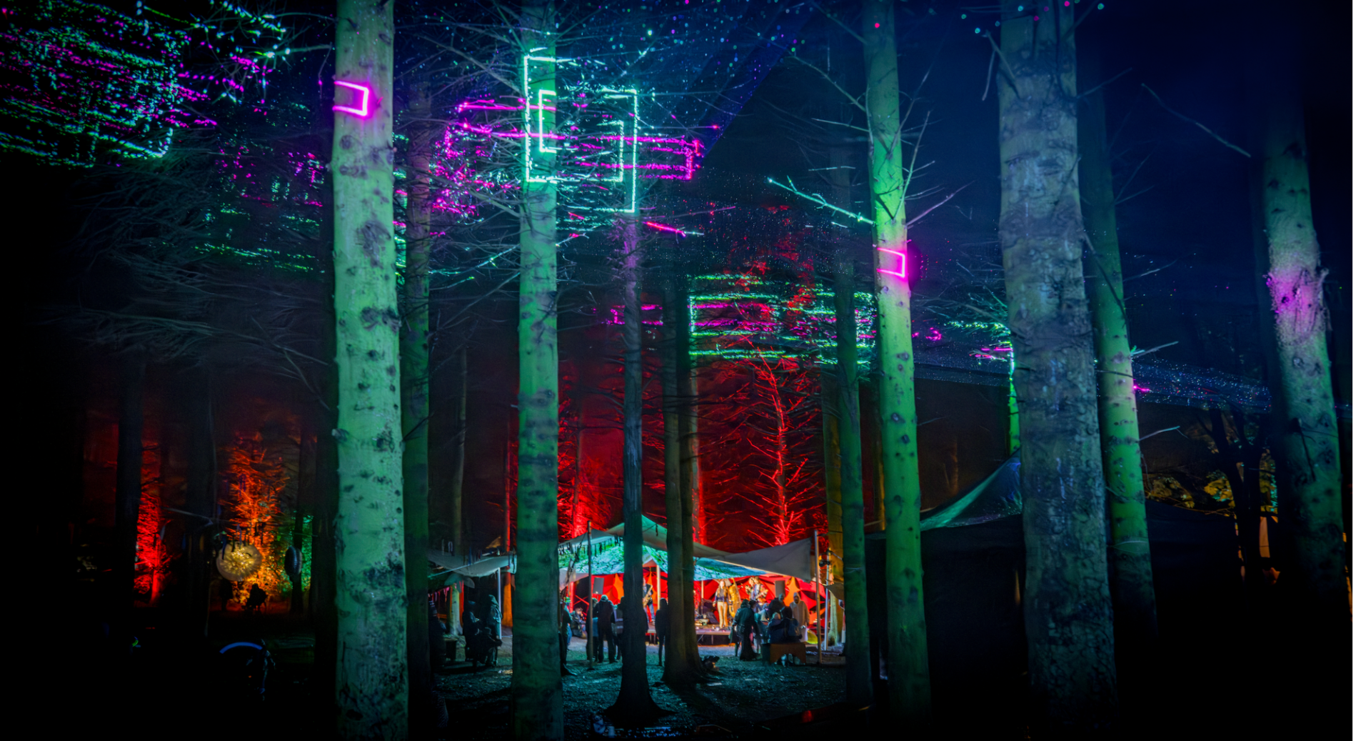 Forrest lights at Vogrie Pogrie Festival