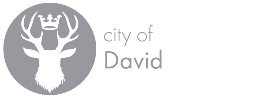 City of David Pictograph