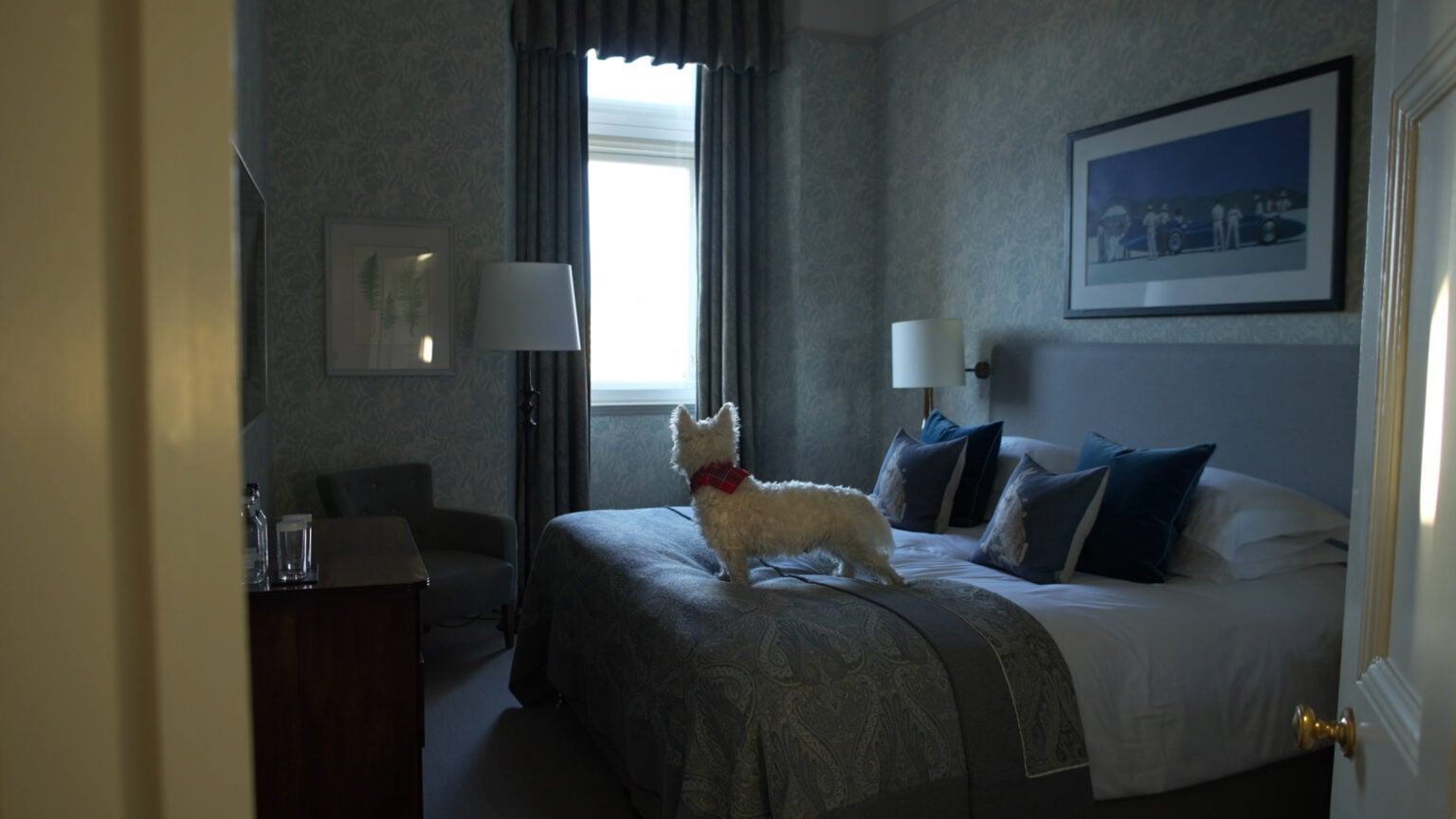Dog-friendly Edinburgh - Forever Edinburgh