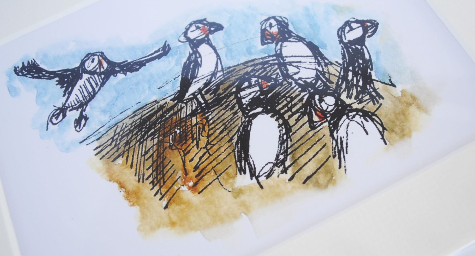 Sketch of puffins