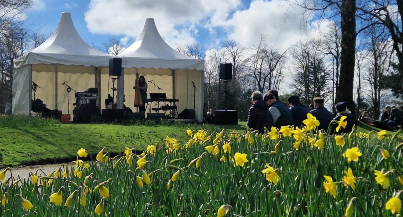 A white tent in the grounds of Lauriston Castle in which musicians are playing. Daffodils are in the foreground of the shot and an audience off to the right