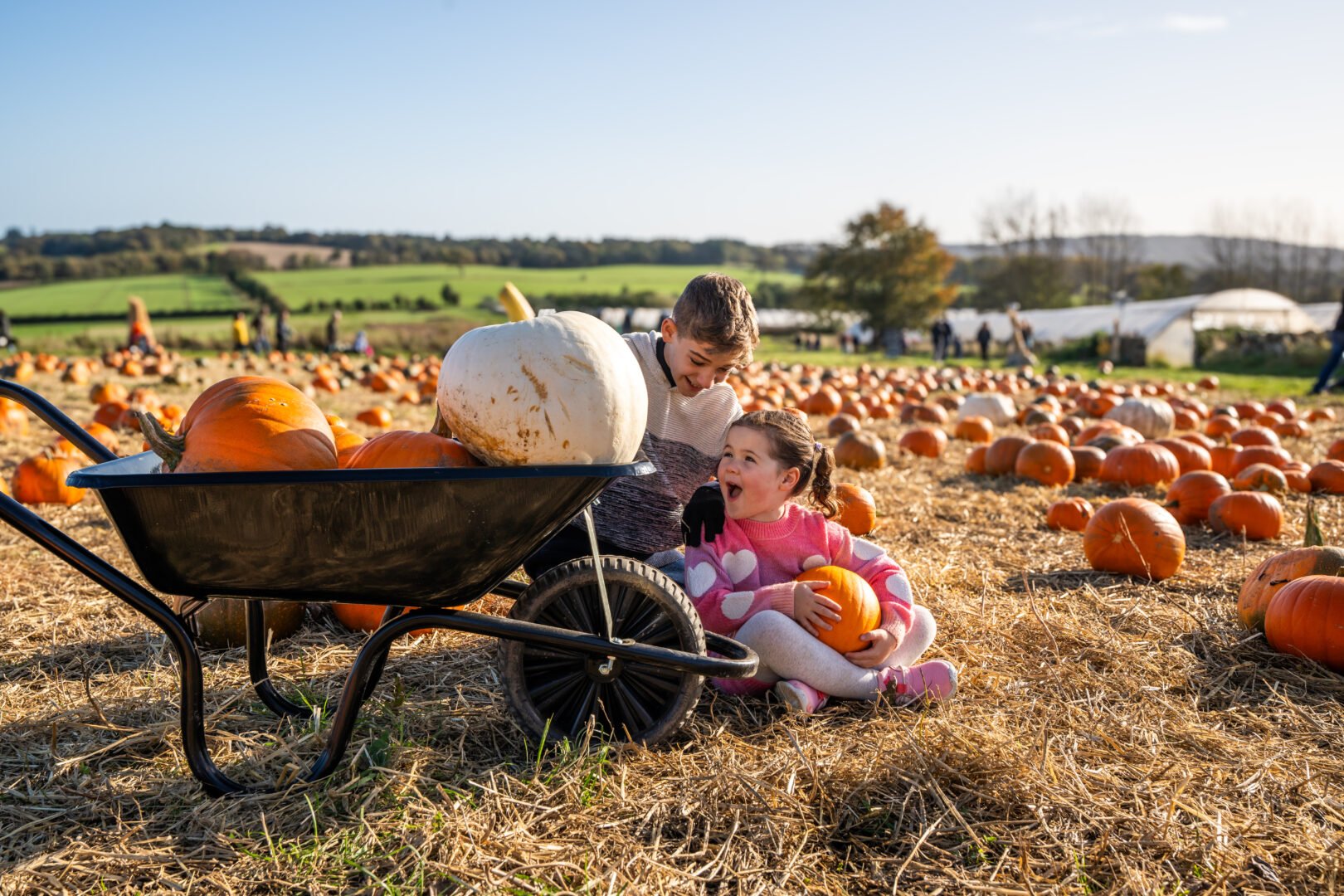 Children sitting in pumpkin patch