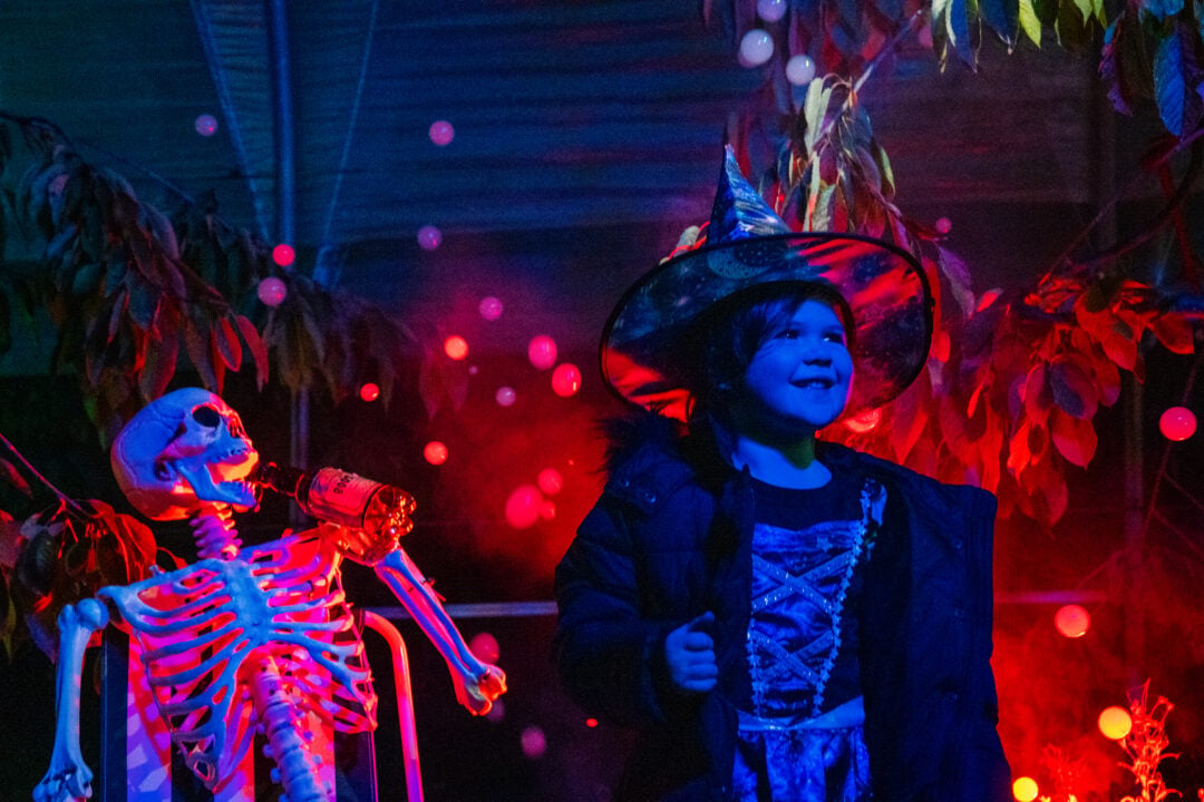 Young girl dressed as witch with skeleton in background.