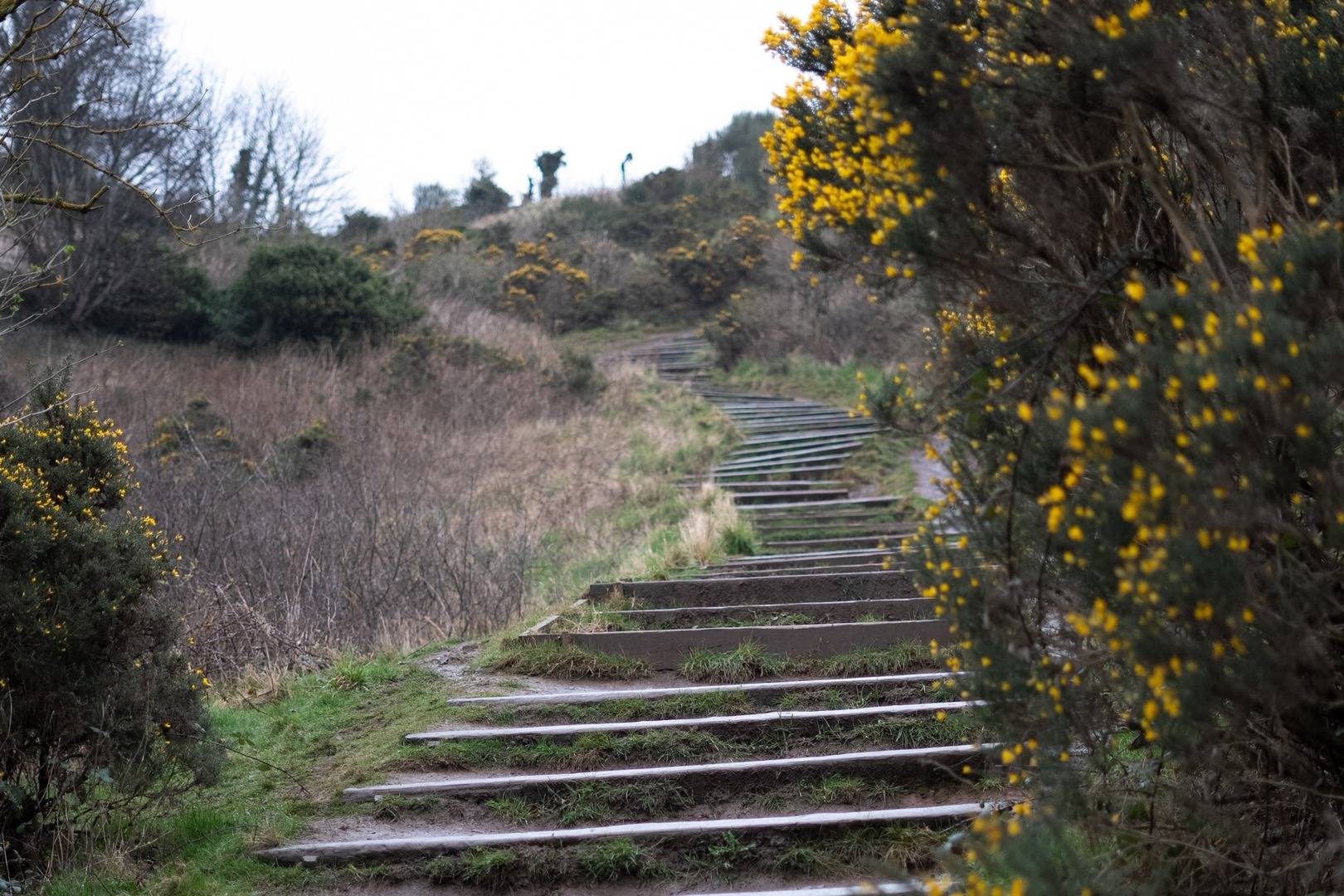 Path in Holyrood park