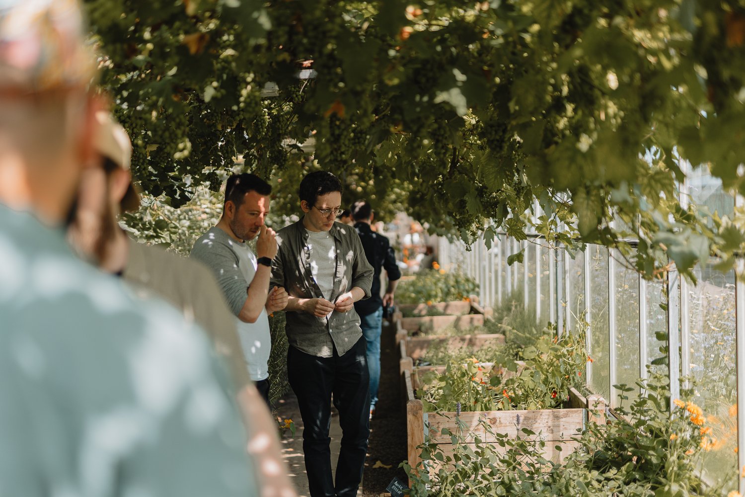 People touring the botanical plants in the Secret Garden Distillery Greenhouse