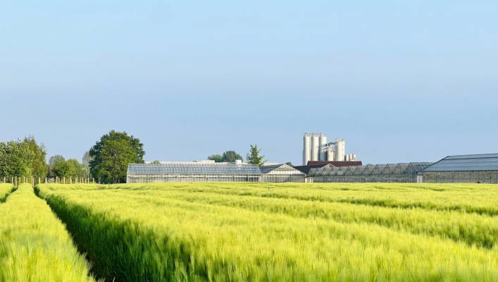 Brulo Brewery and the field around it