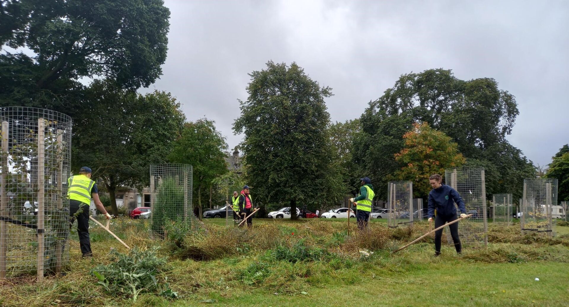 A group of people, some in high viz jackets, scything parkland. There are trees and cars on the road in the background