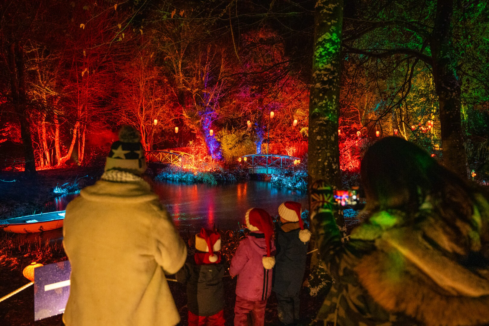 Adult and 3 children looking out at illuminated forest.