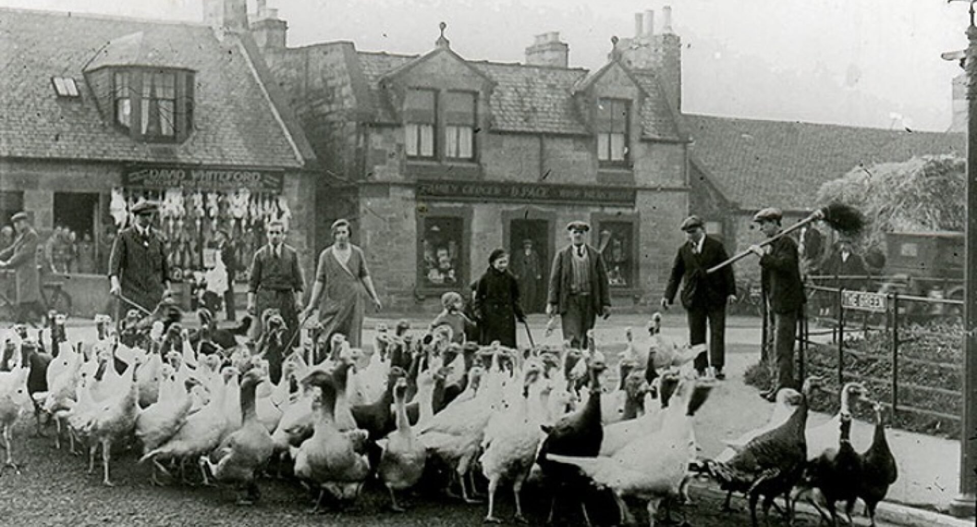 A black and white photograph of Davidson's Mains showing turkeys being herded from the station. There are a row of shops in the background