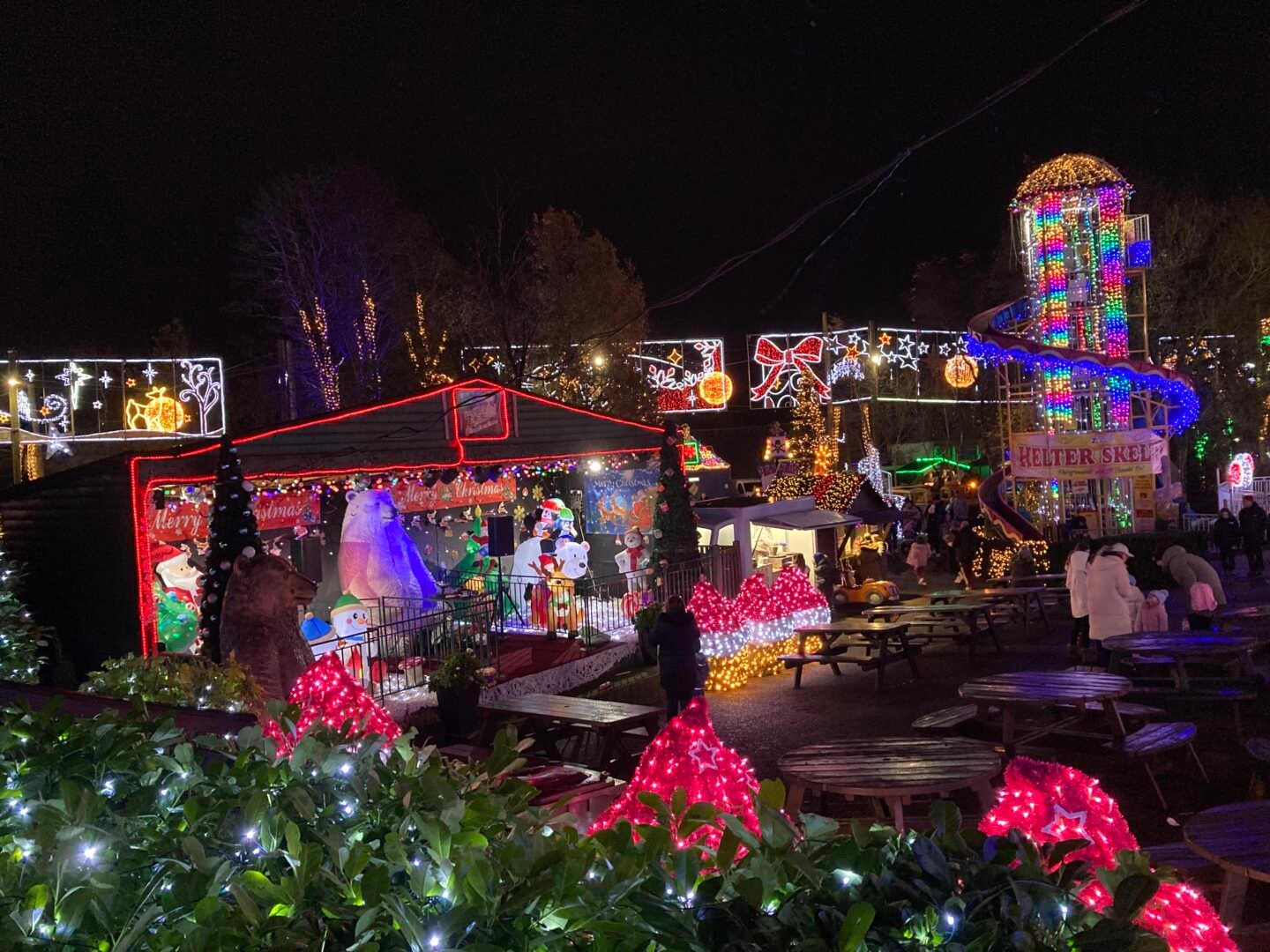 Night time image of lights decorating tress, with a lit-up helter skelter in the background.