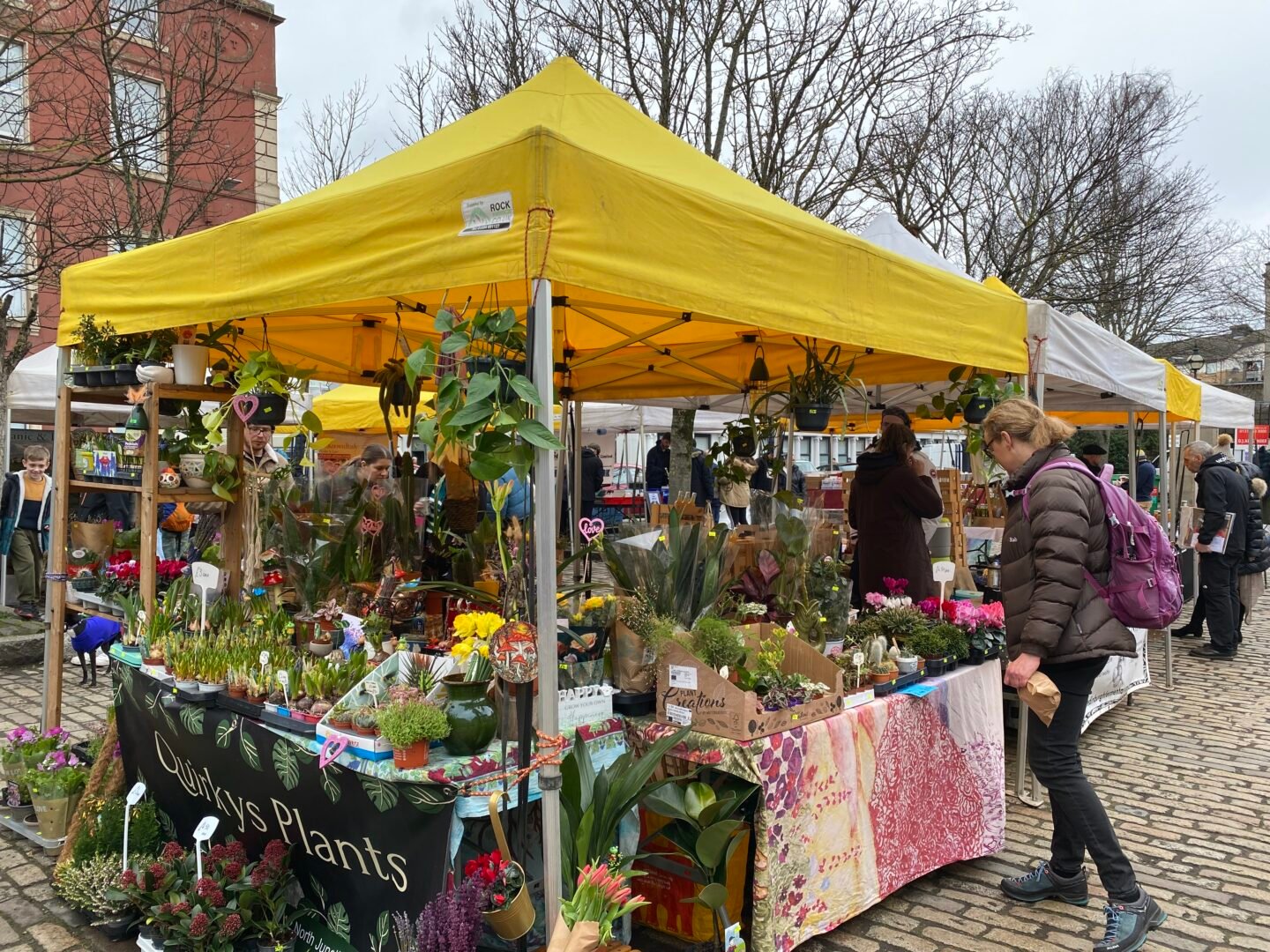 Women looking at stall selling a variety of plants.