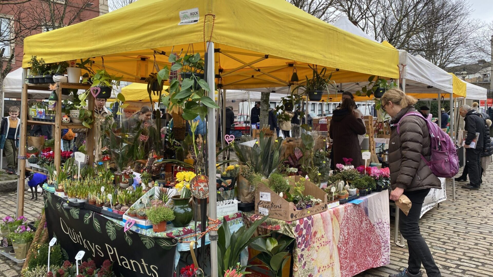 Women looking at stall selling a variety of plants.