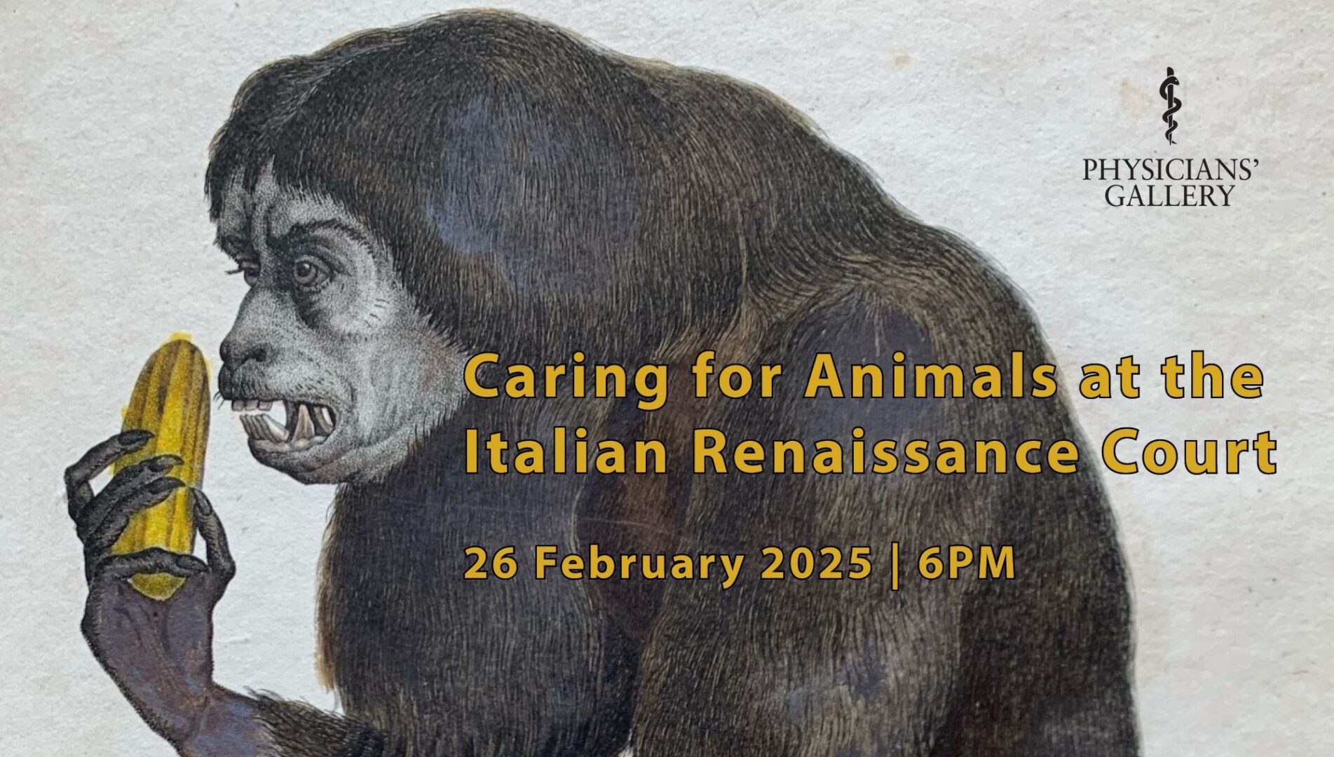 Poster for Caring for Animals at the Italian Renaissance Court event at the Royal College of Physicians. Featureing a monkey eating a banana/