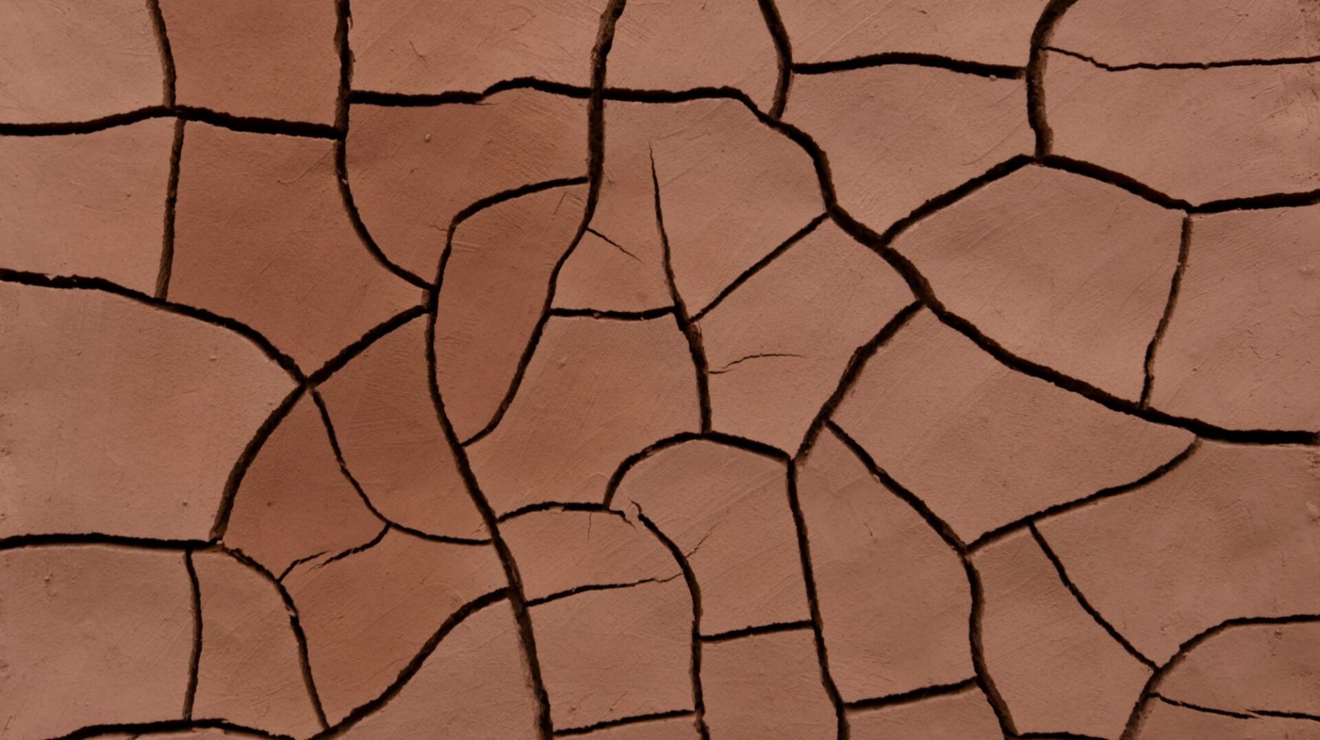 Image of cracked red clay.