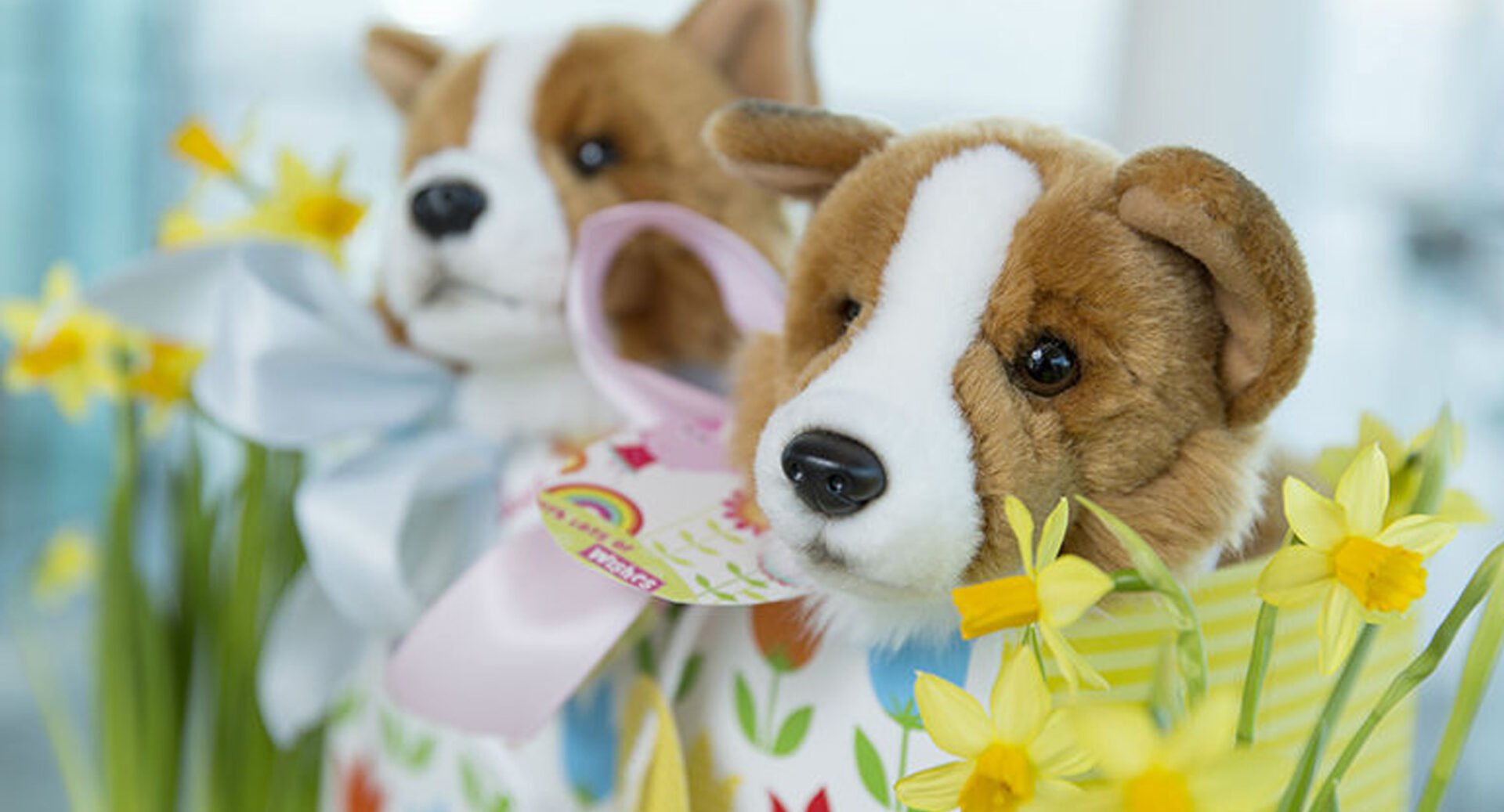 Toy corgi dogs surrounded by daffodils.