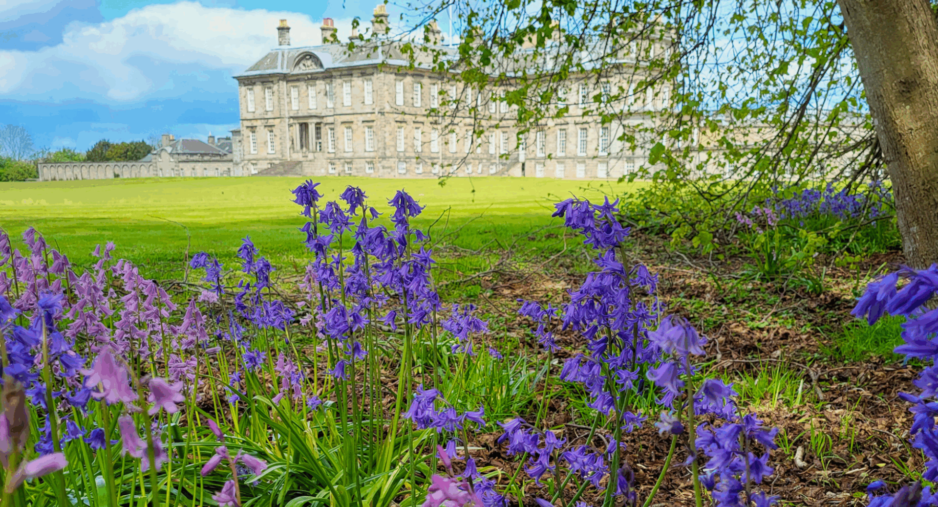 Field of blue and purple flowers, with large stately home in the background.